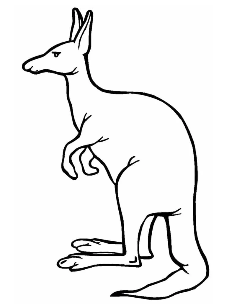 Free Kangaroo coloring page - Download, Print or Color Online for Free