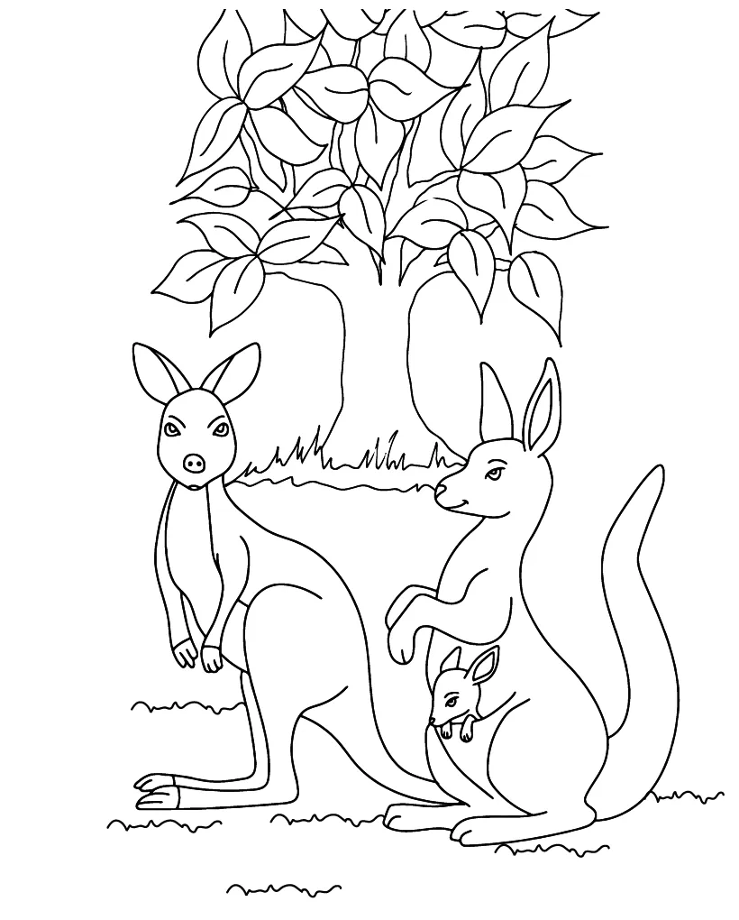 Kangaroo coloring page-05