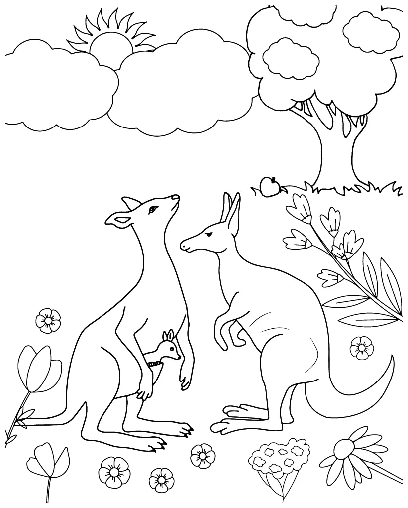 Kangaroo coloring page-11