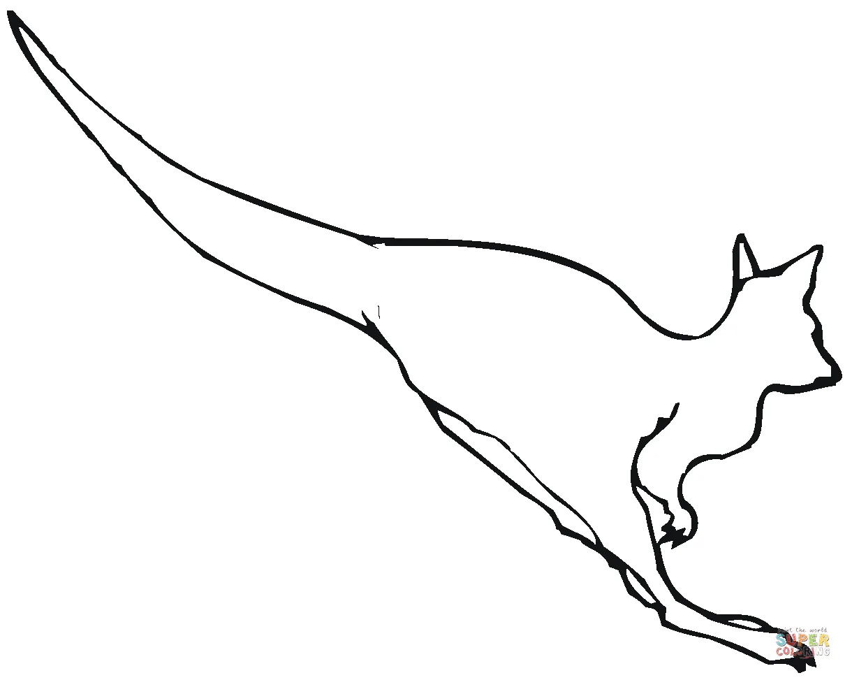 Jumping kangaroo coloring page free printable coloring pages printable coloring page