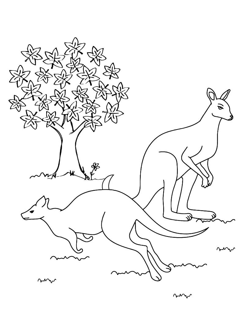 Kangaroo coloring page-03