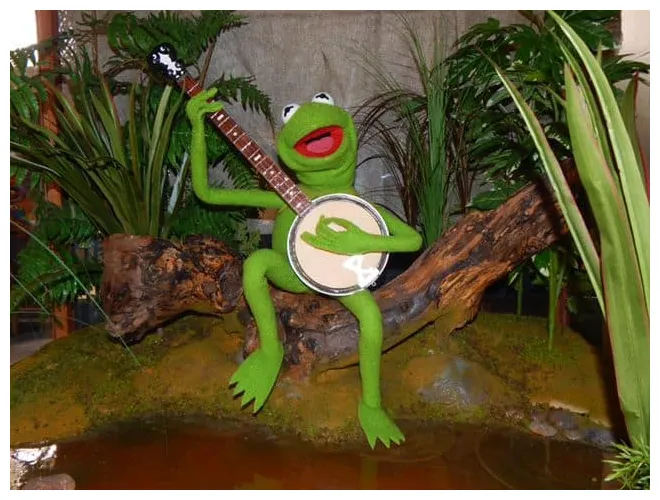 Kermit playing banjo
