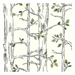 Sb7670 knock on wood boulevard