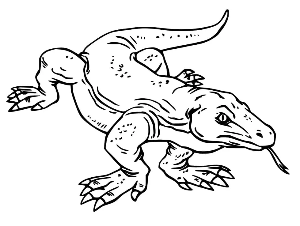 Komodo dragon 3 coloring page free printable coloring pages for kids