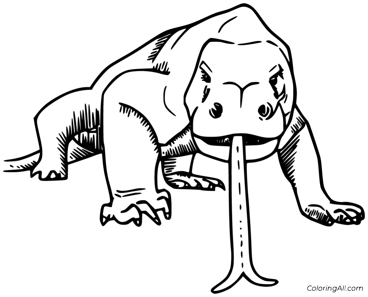 S 10 free printables coloringall