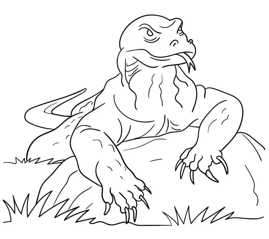 Komodo dragon coloring page