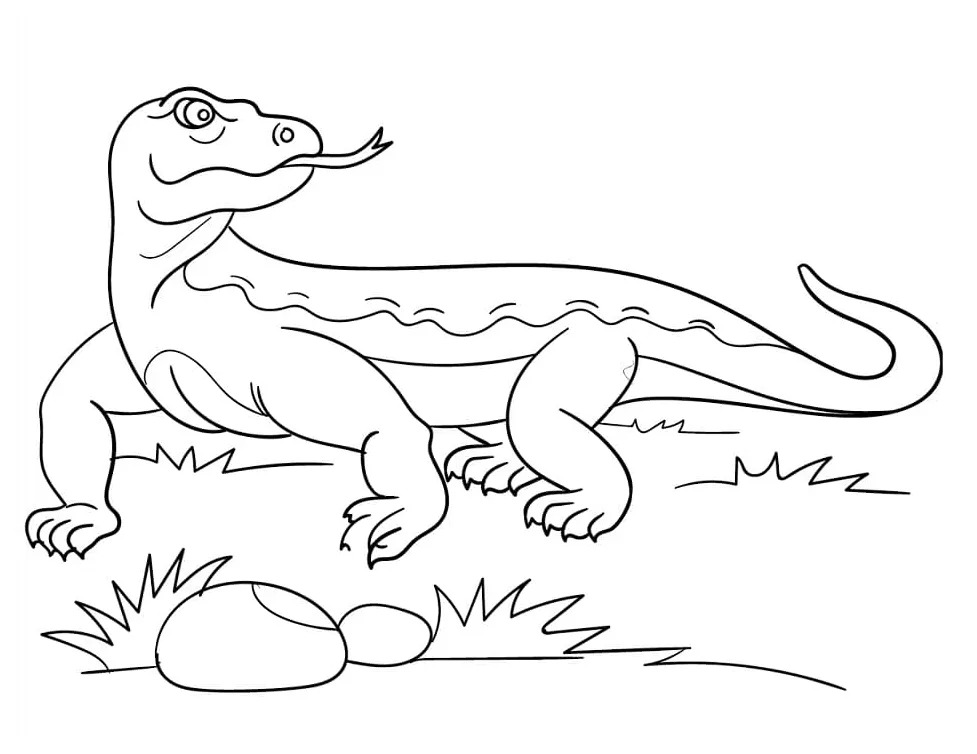 Komodo dragon coloring page