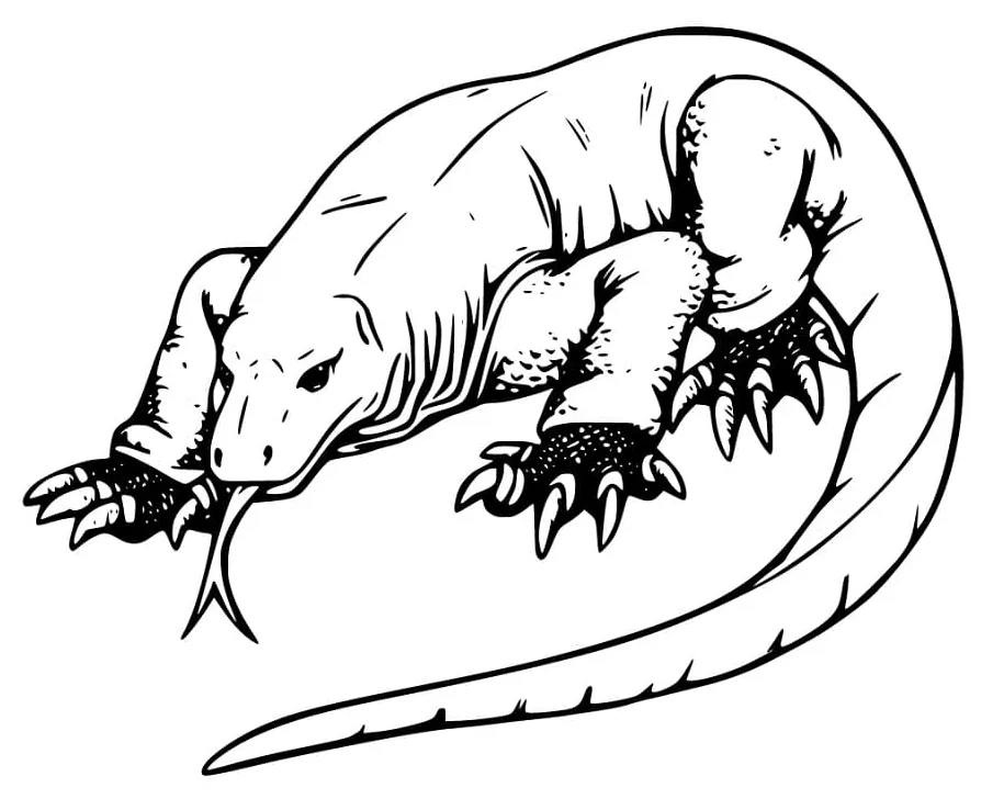 Komodo dragon coloring page