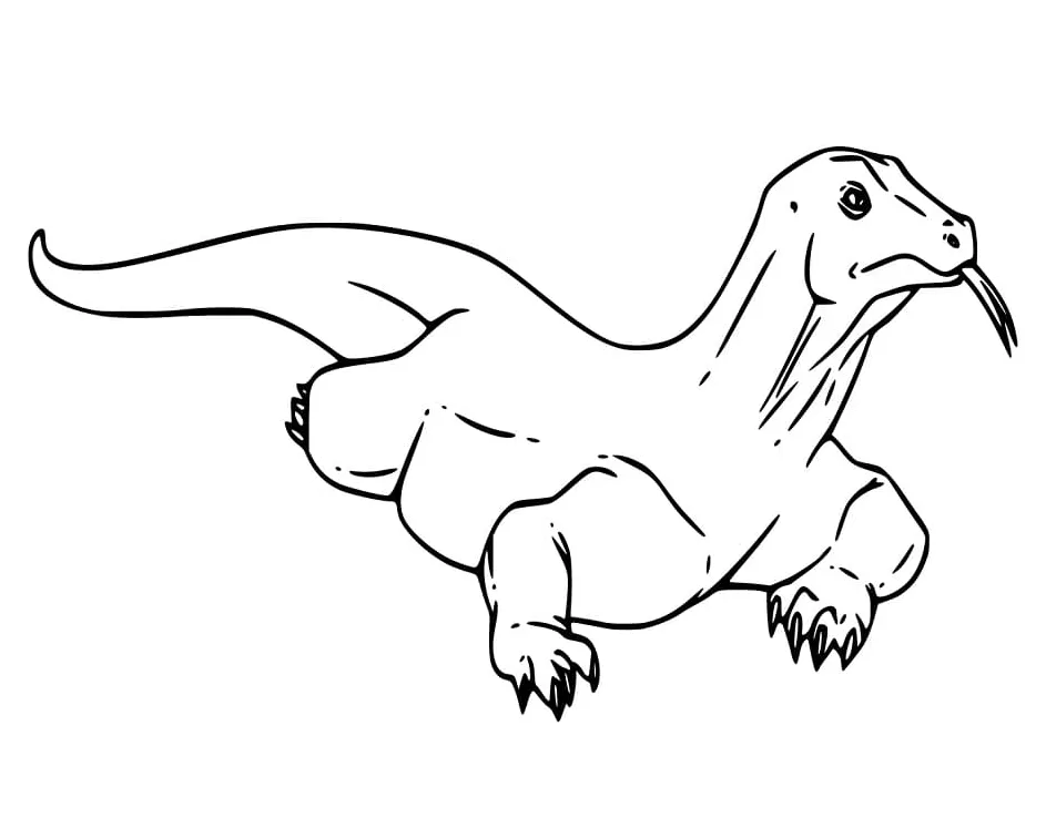 Komodo dragon coloring page