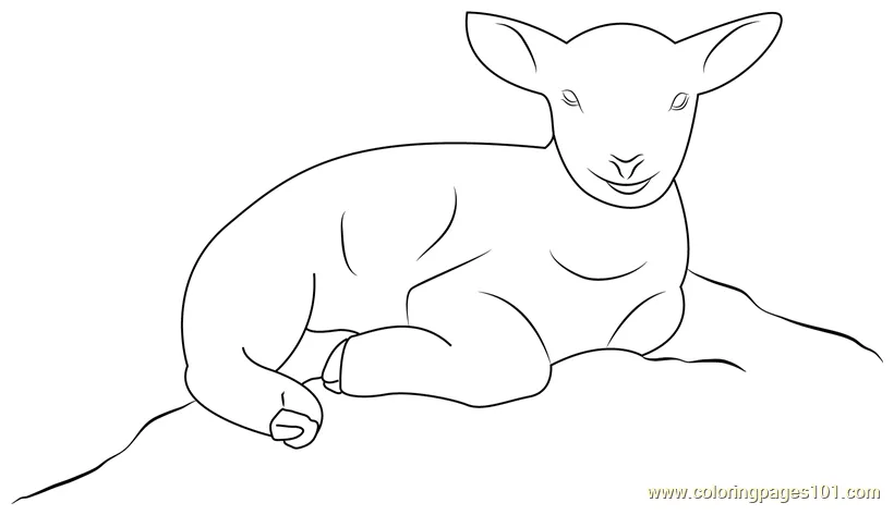 For kids free lamb printable coloring pages online