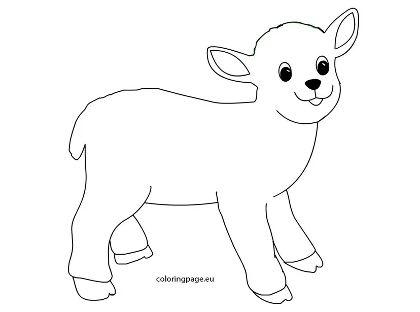 Lamb coloring page