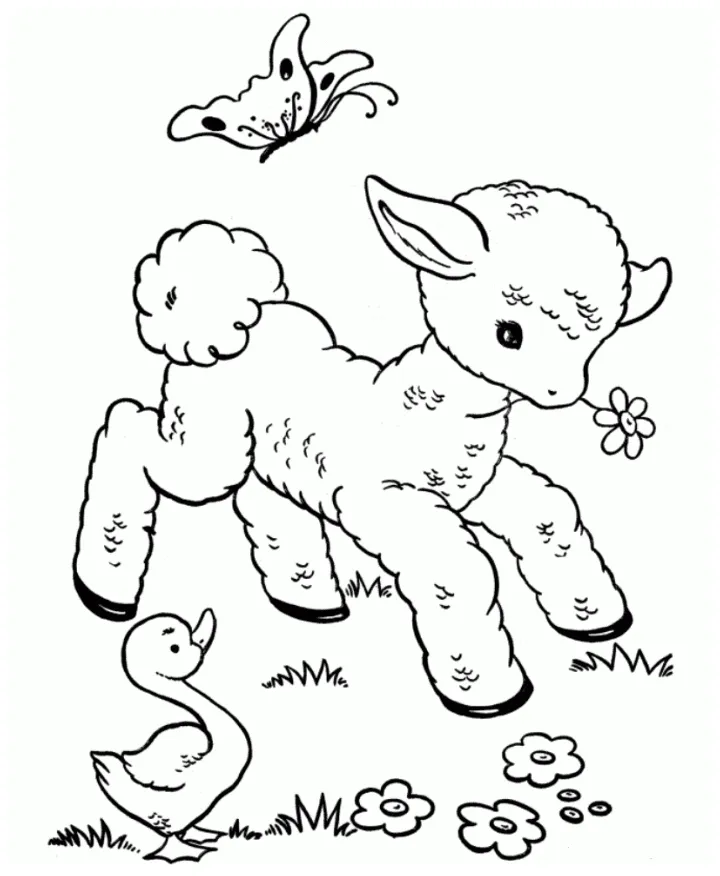 Lamb coloring page coloring home
