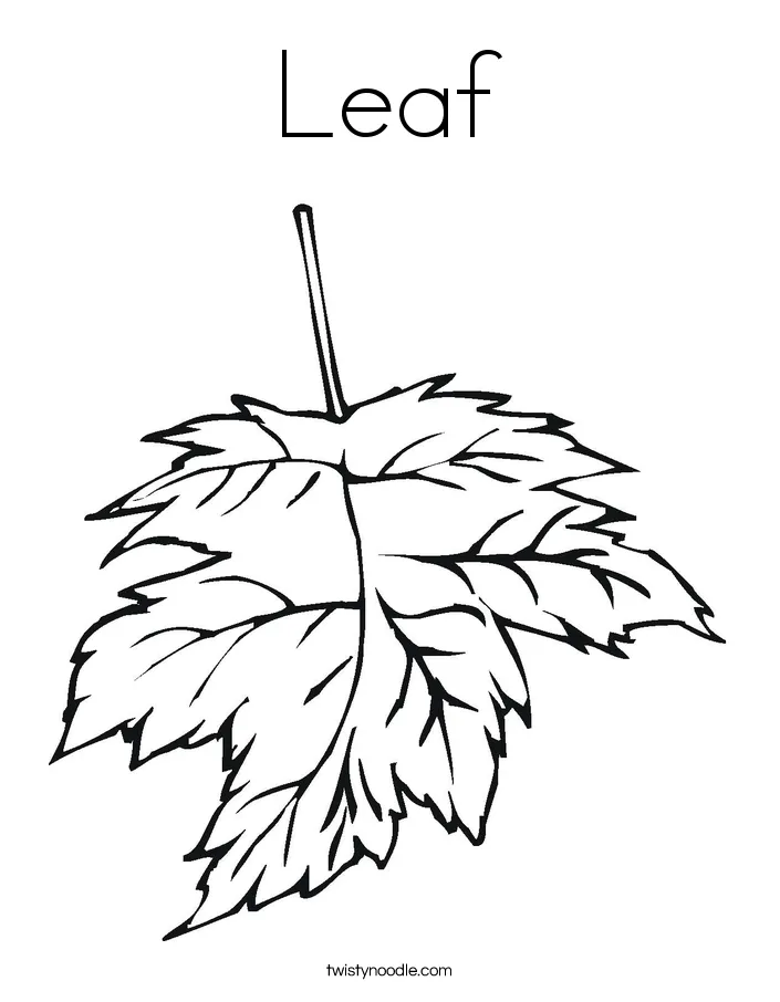 Leaf coloring page twisty noodle
