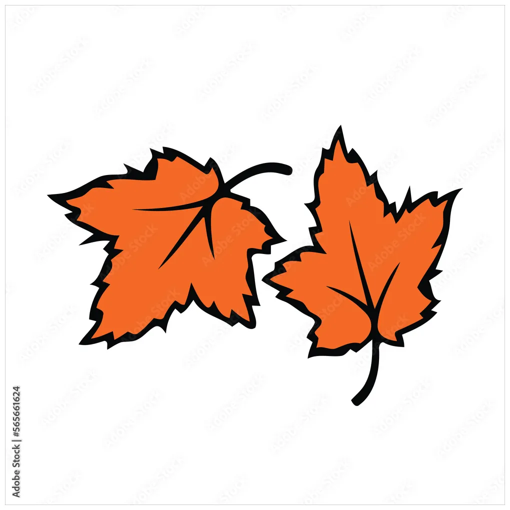 Leaf coloring page for kids. stock vector adobe stock
