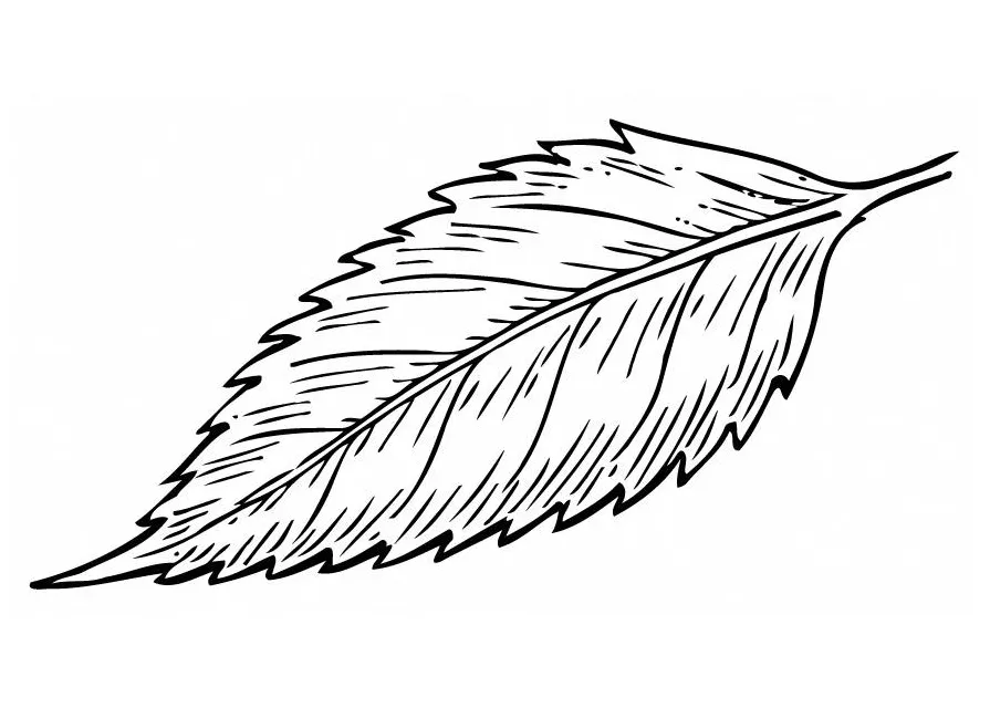 Coloring page leaf free printables img 12949