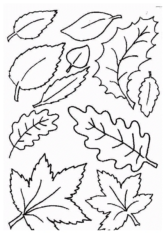 Coloring page leaf coloring pages 7