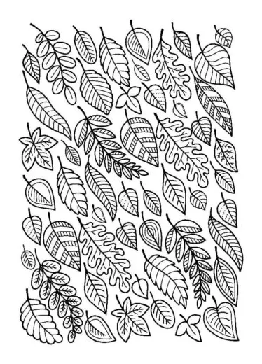 Leaf patterns coloring page » turkau