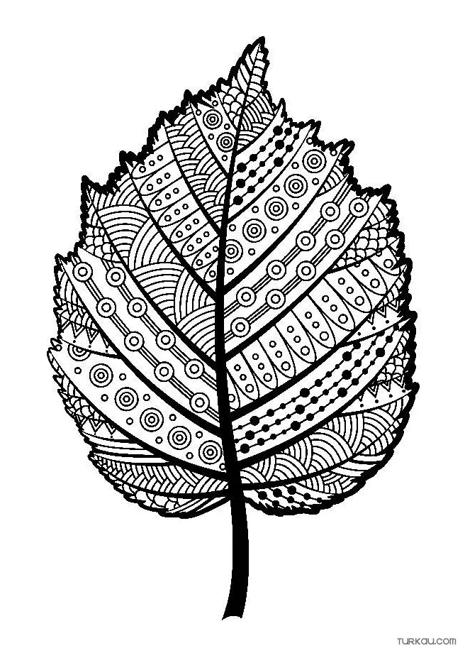 Leaf patterns coloring page » turkau