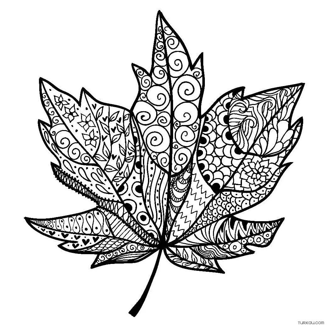 Leaf patterns coloring page » turkau printable coloring page