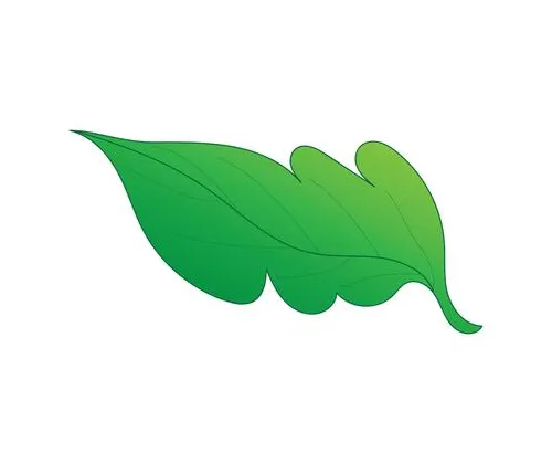 Leaf coloring page vector art, icons, and graphics for
