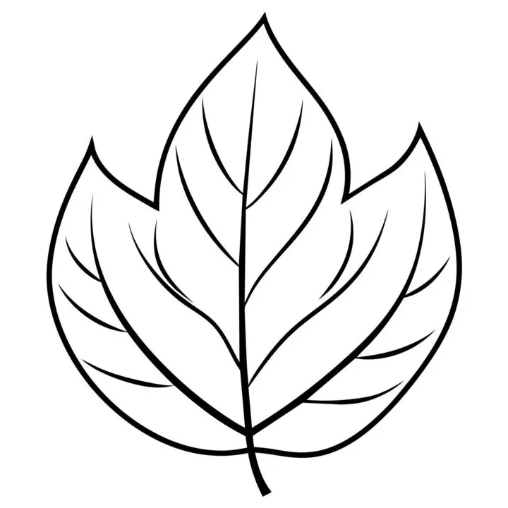Page 2 leaf coloring page vector art, icons, and graphics for free