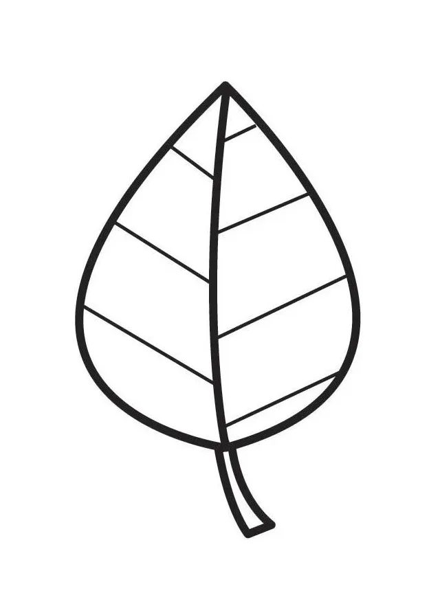 Coloring page leaf free printable coloring pages img 18547