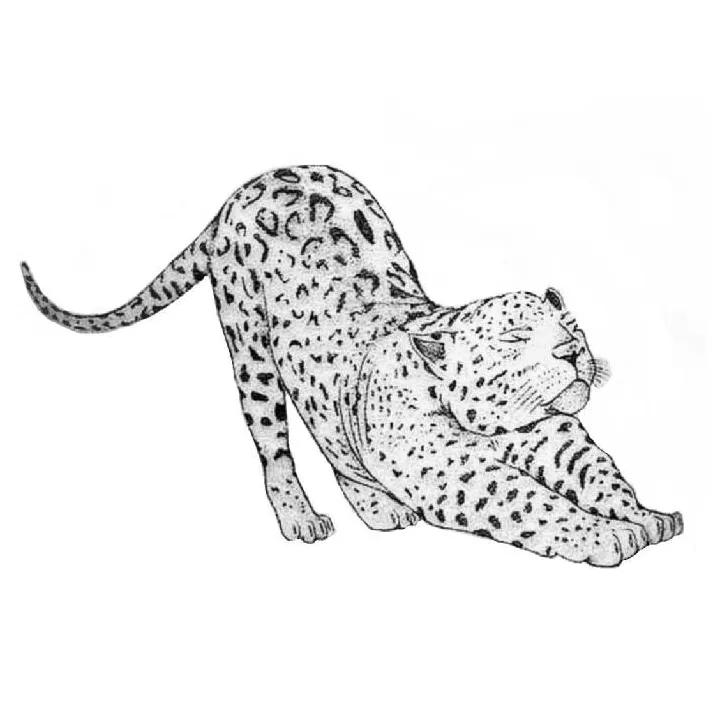 S free printable pdf