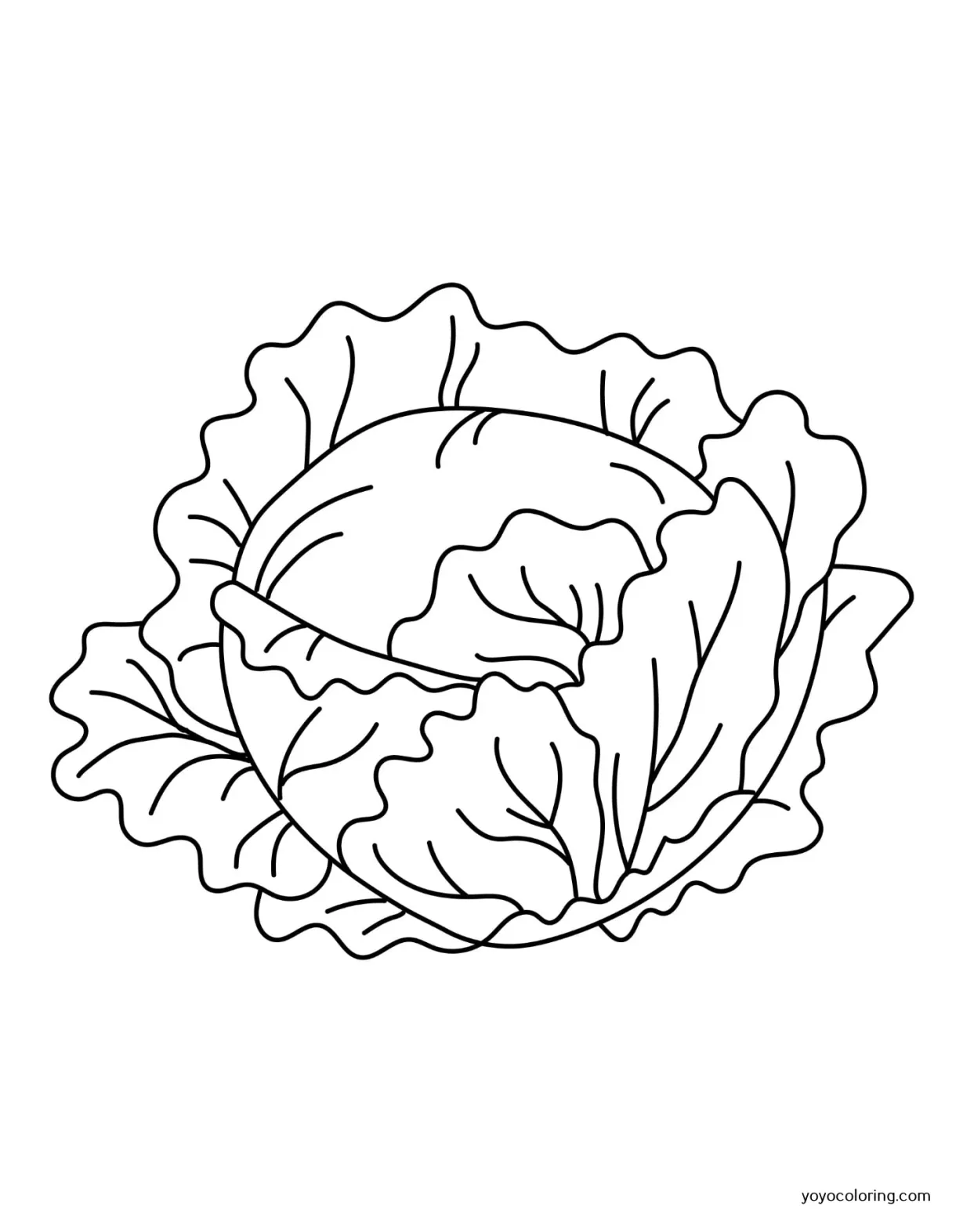 Lettuce Coloring Pages ᗎ Printable Painting Template