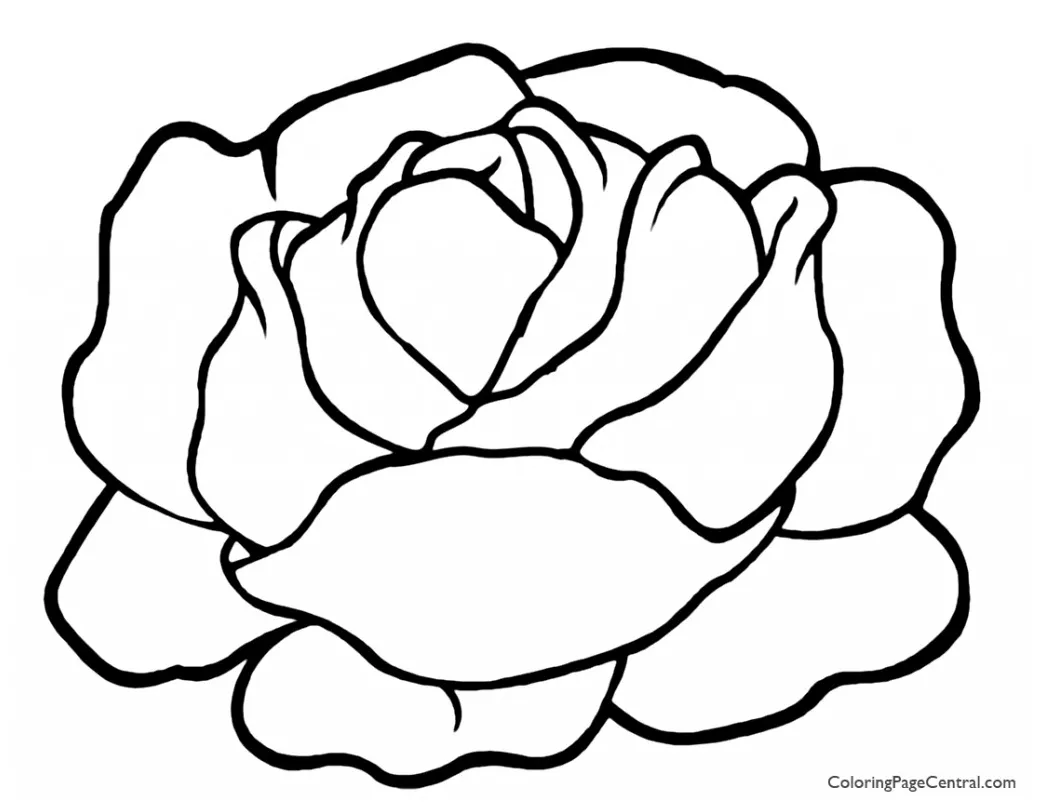 Lettuce Coloring Page - ClipArt Best
