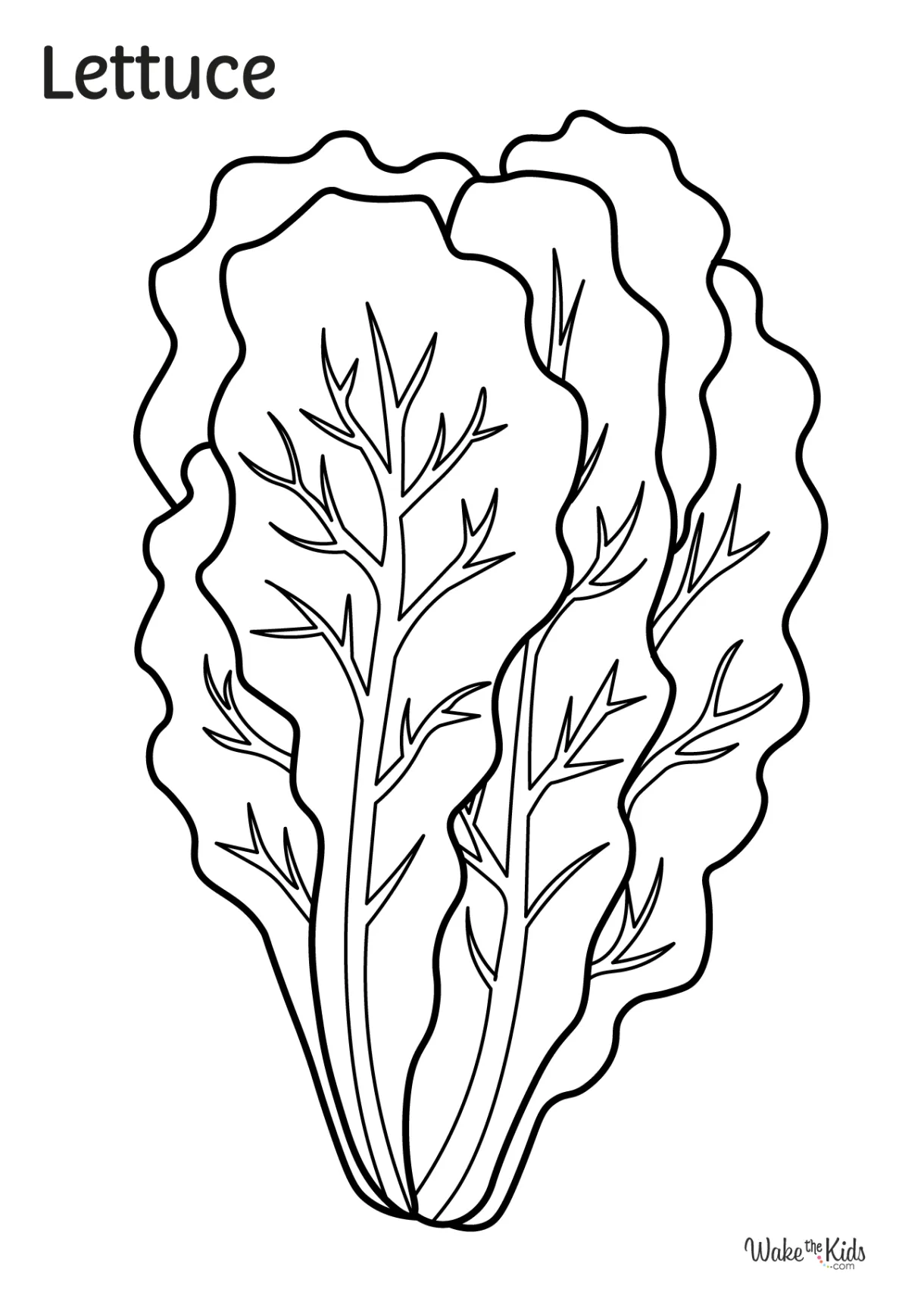 Lettuce Coloring Pages (Free Printable PDFs) | WakeTheKids