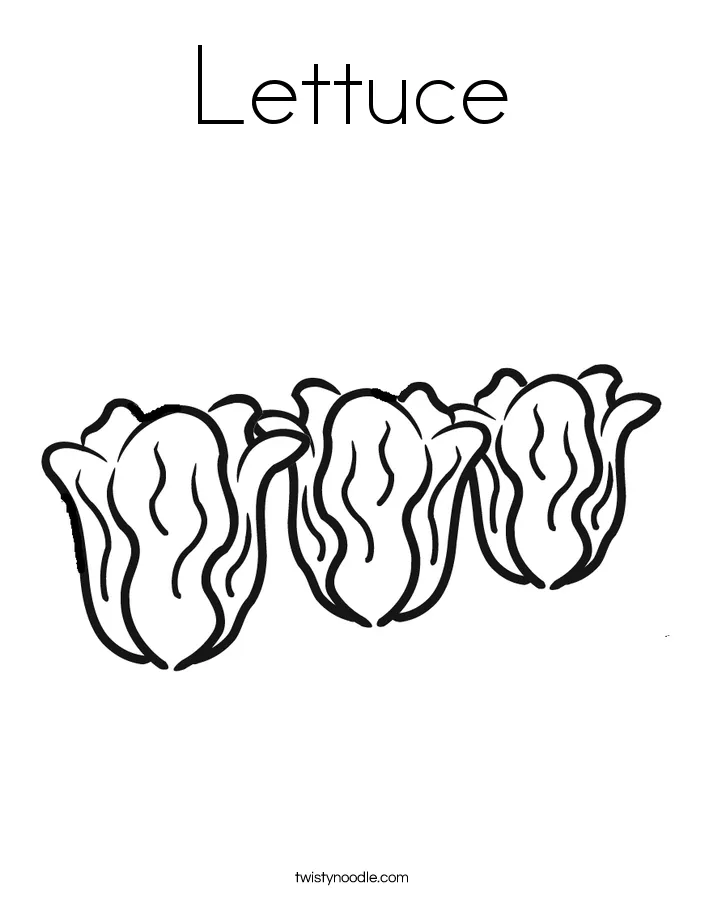 Lettuce Coloring Page - Twisty Noodle