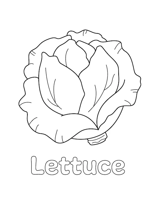 Lettuce Coloring Page - Little Bee Family