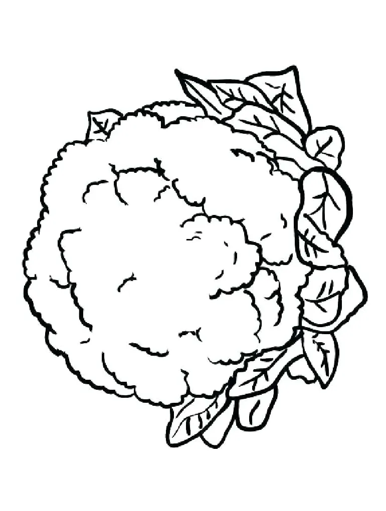 Lettuce Coloring Page at GetColorings.com | Free printable colorings