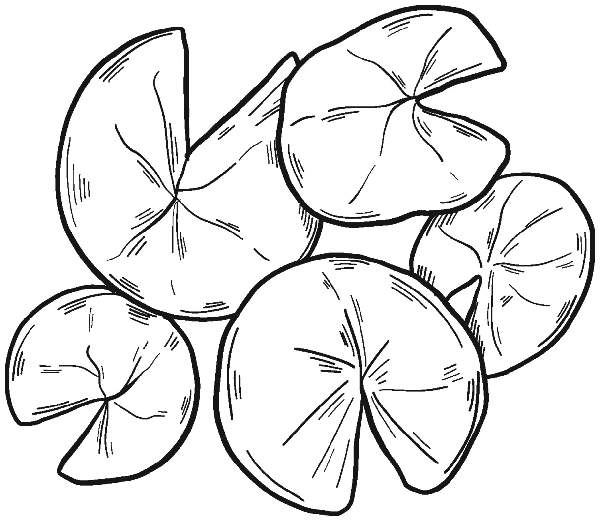 Lily Pads coloring page - ColouringPages