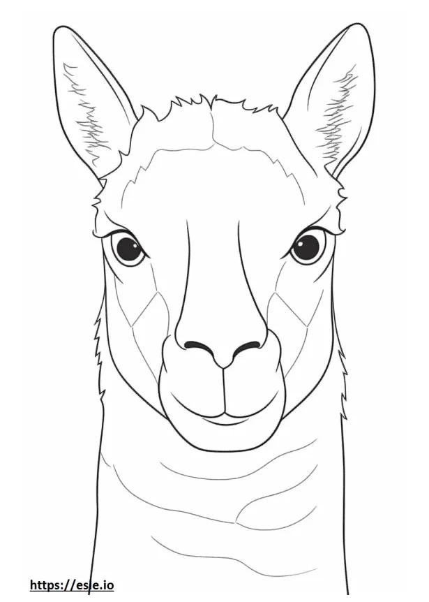 Llama coloring pages free printable printable coloring page