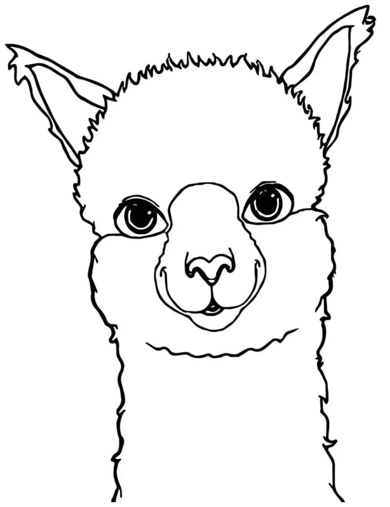 Llama face coloring page download, print or color online for free