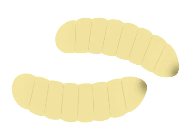 Maggot clip art, vector s & illustrations istock