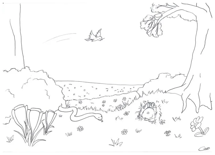 Magical forest coloring page