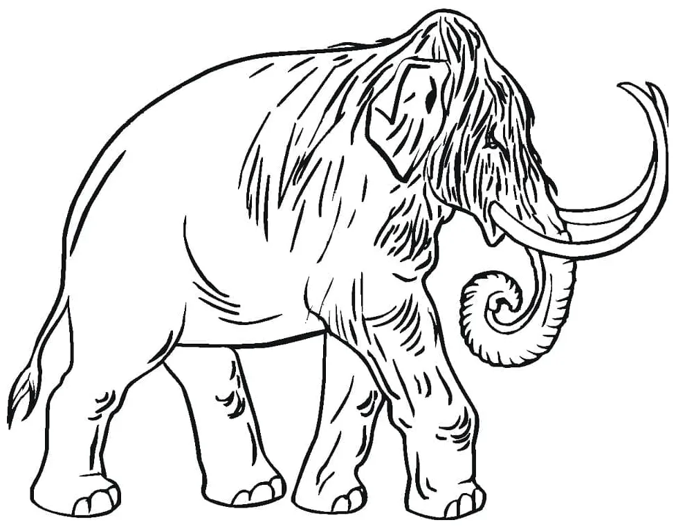 Print download, print or color online for free