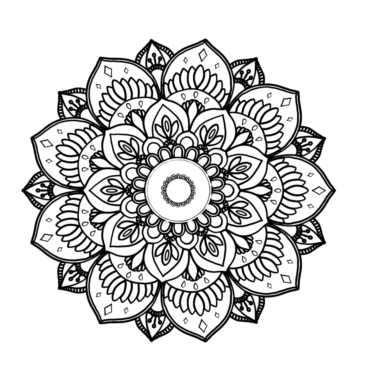 曼荼罗 花的 自然 pixabay上的免费图片 pixabay