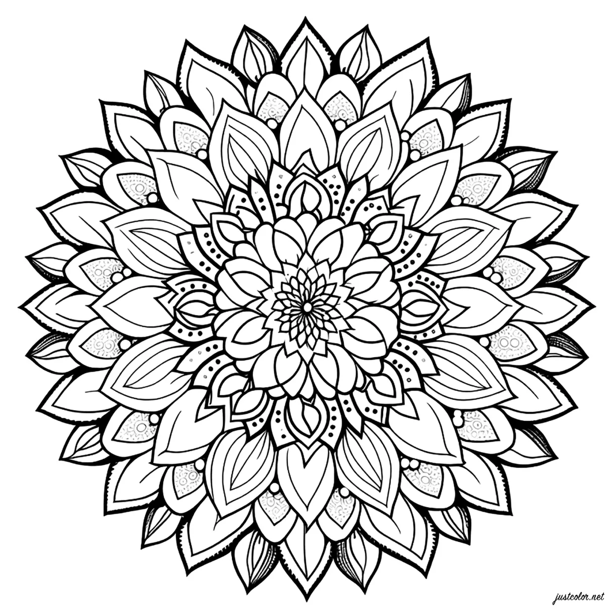 Mandala simple avec des pétales coloriages de mandalas à imprimer printable coloring page