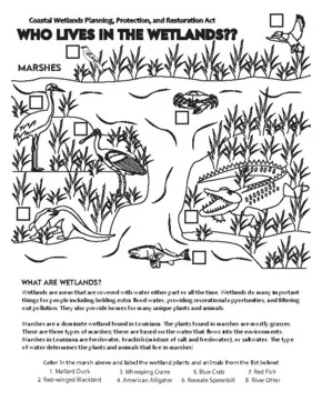 Marsh Plants Coloring Pages [2025]
