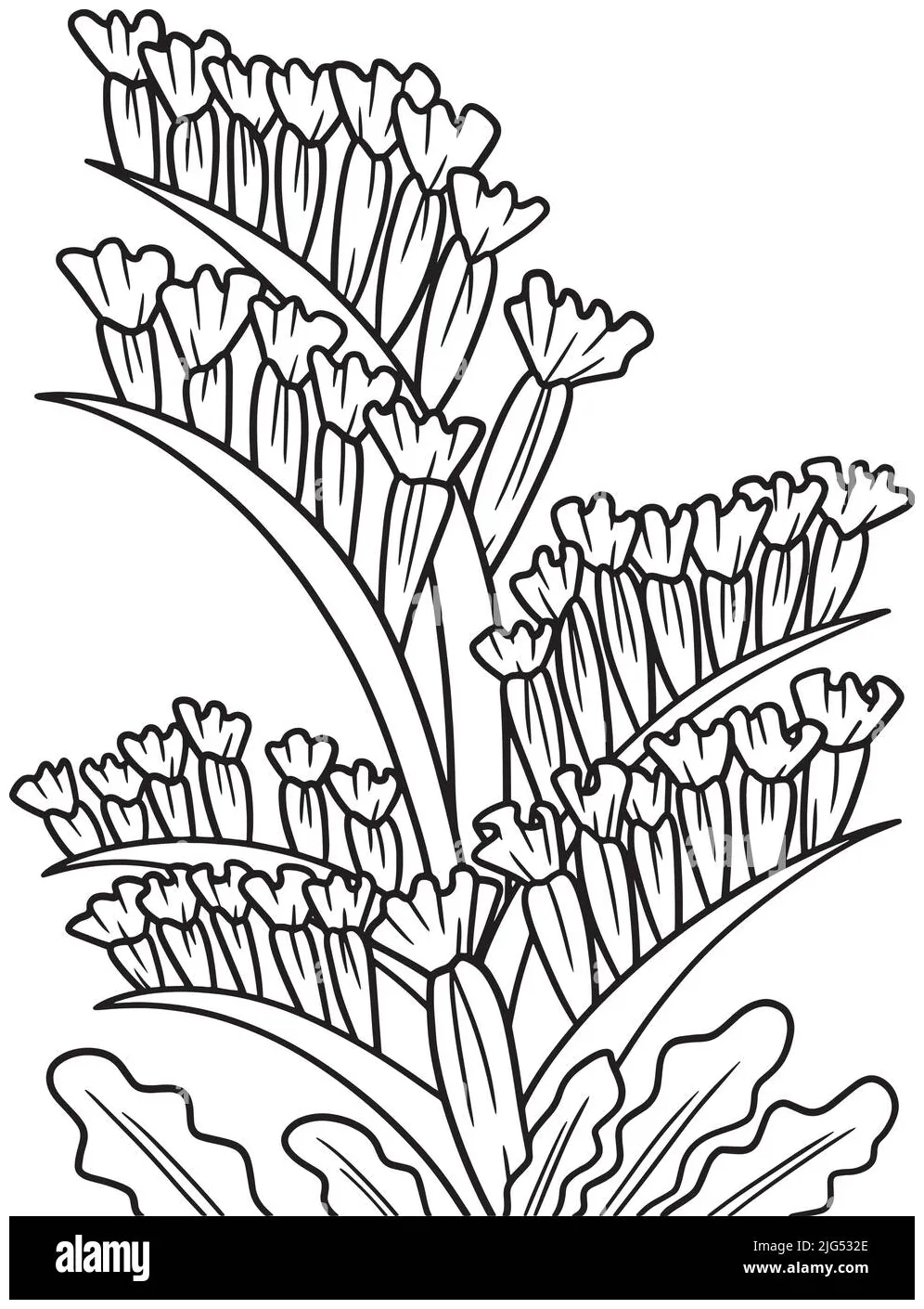 Marsh Plants Coloring Pages [2025]