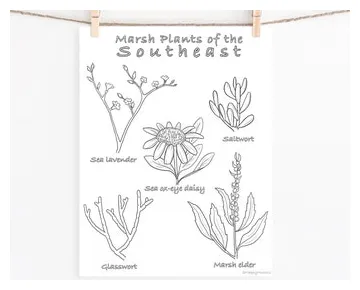 Marsh Coloring Page - Etsy UK