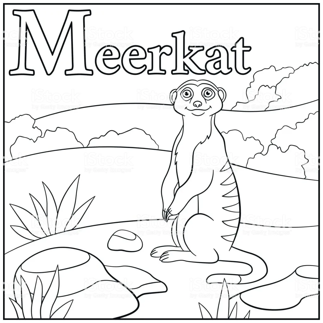 Meerkat Coloring Pages Coloring Pages
