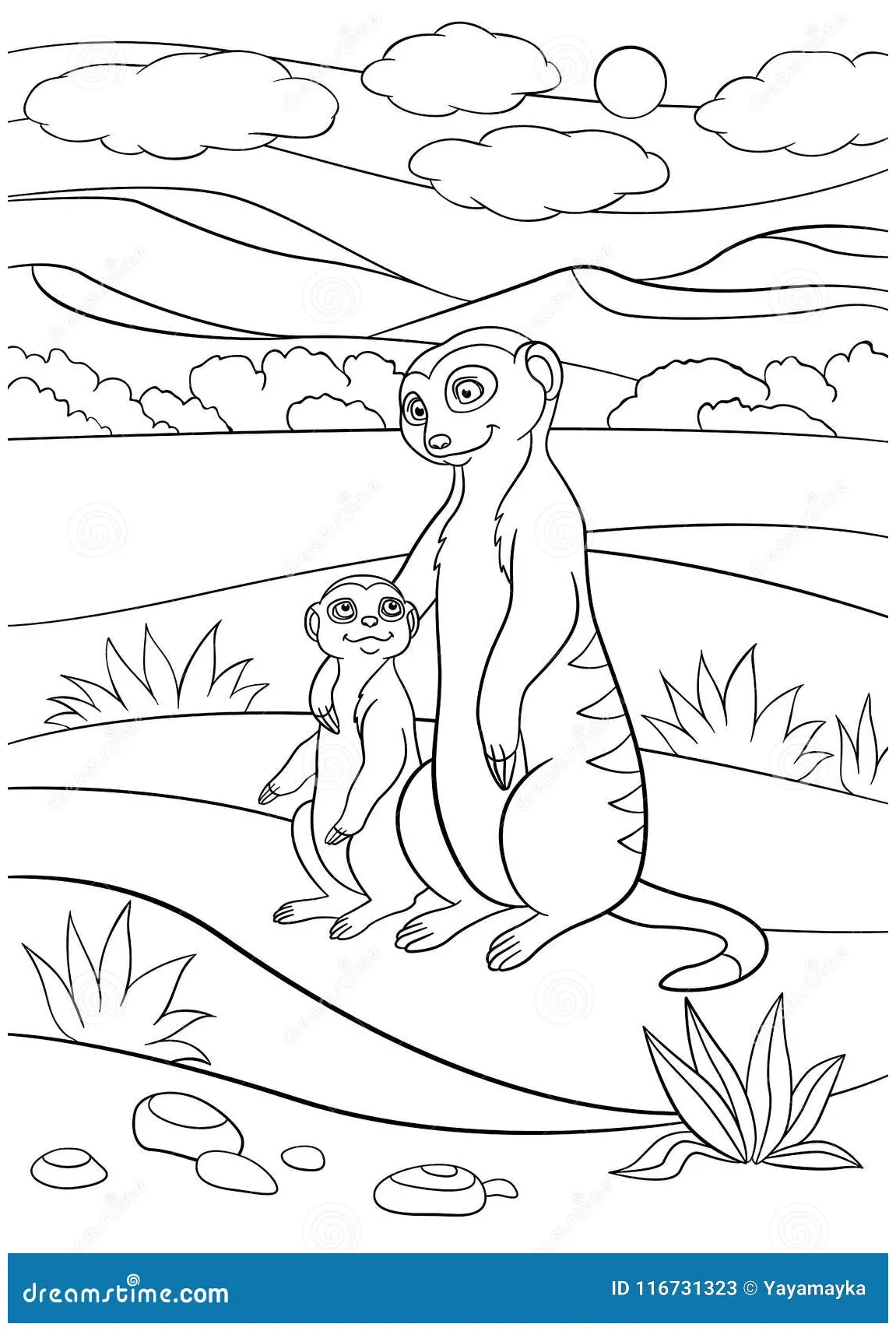 Meerkat Coloring Page For Kids Vector Illustration | CartoonDealer.com