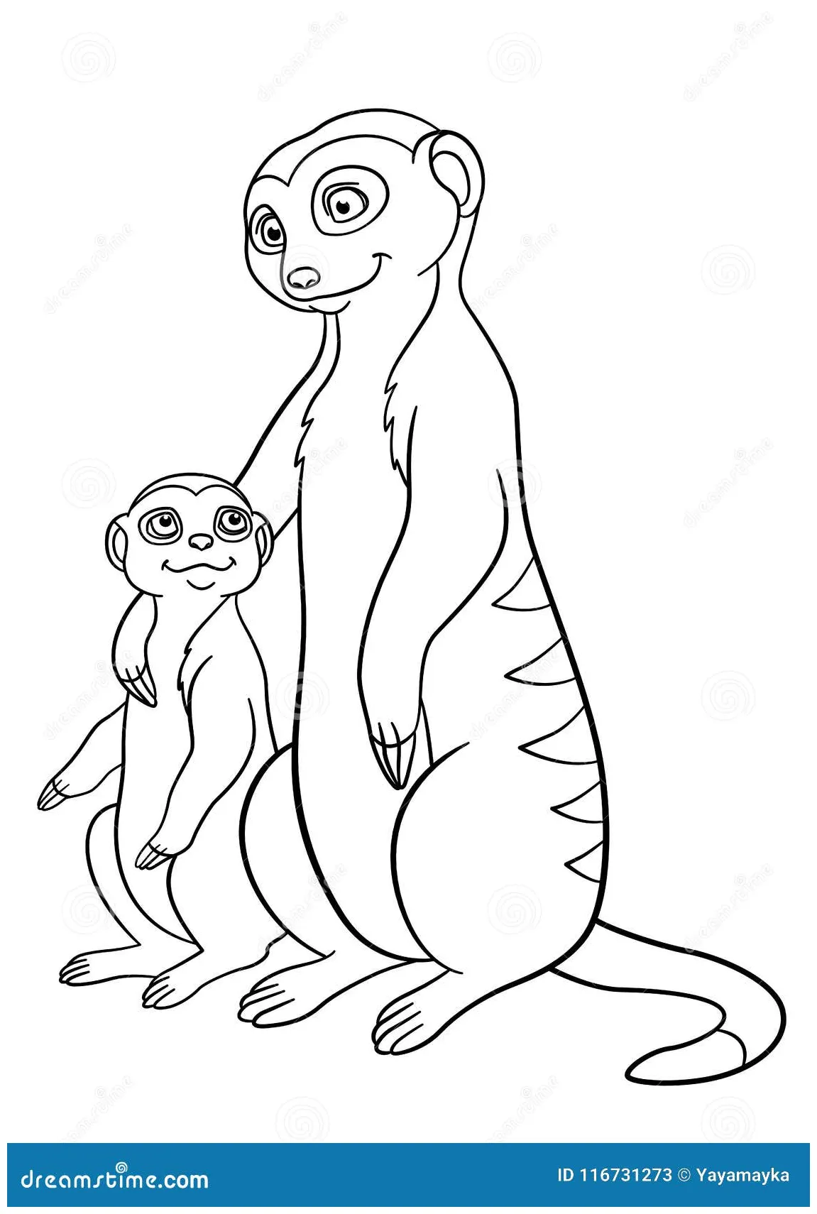 Meerkat Coloring Page For Kids Vector Illustration | CartoonDealer.com