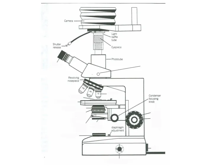 Microscope Parts for Kohler Illumination Quiz