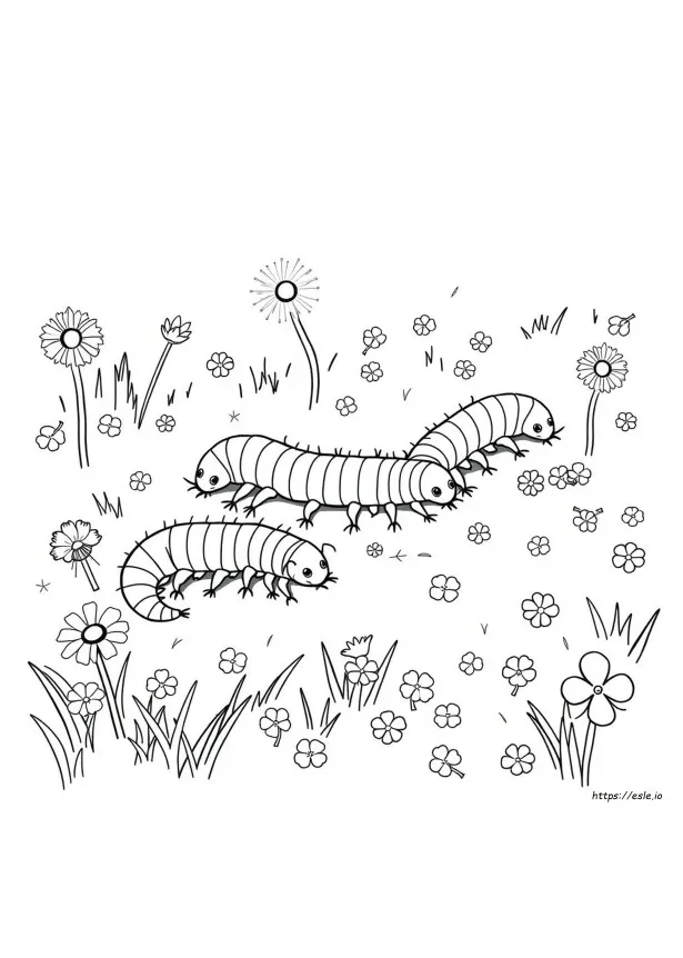 Millipede Coloring Page