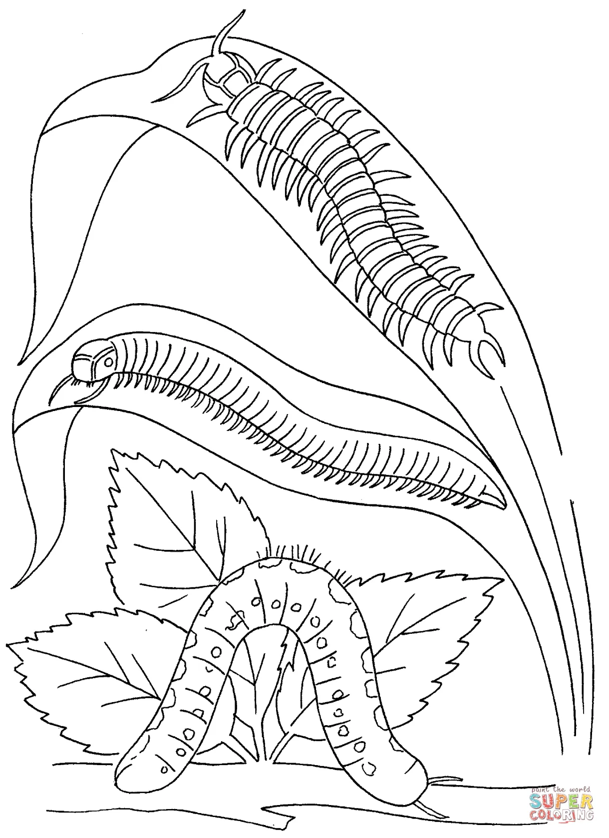 Millipede Coloring Pages